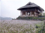 Bóng đá anh, ngoại hạng anh, lịch thi đấu euro 2012, "Ông chủ" Facebook hoãn chuyến bay từ Sapa về Hà Nội